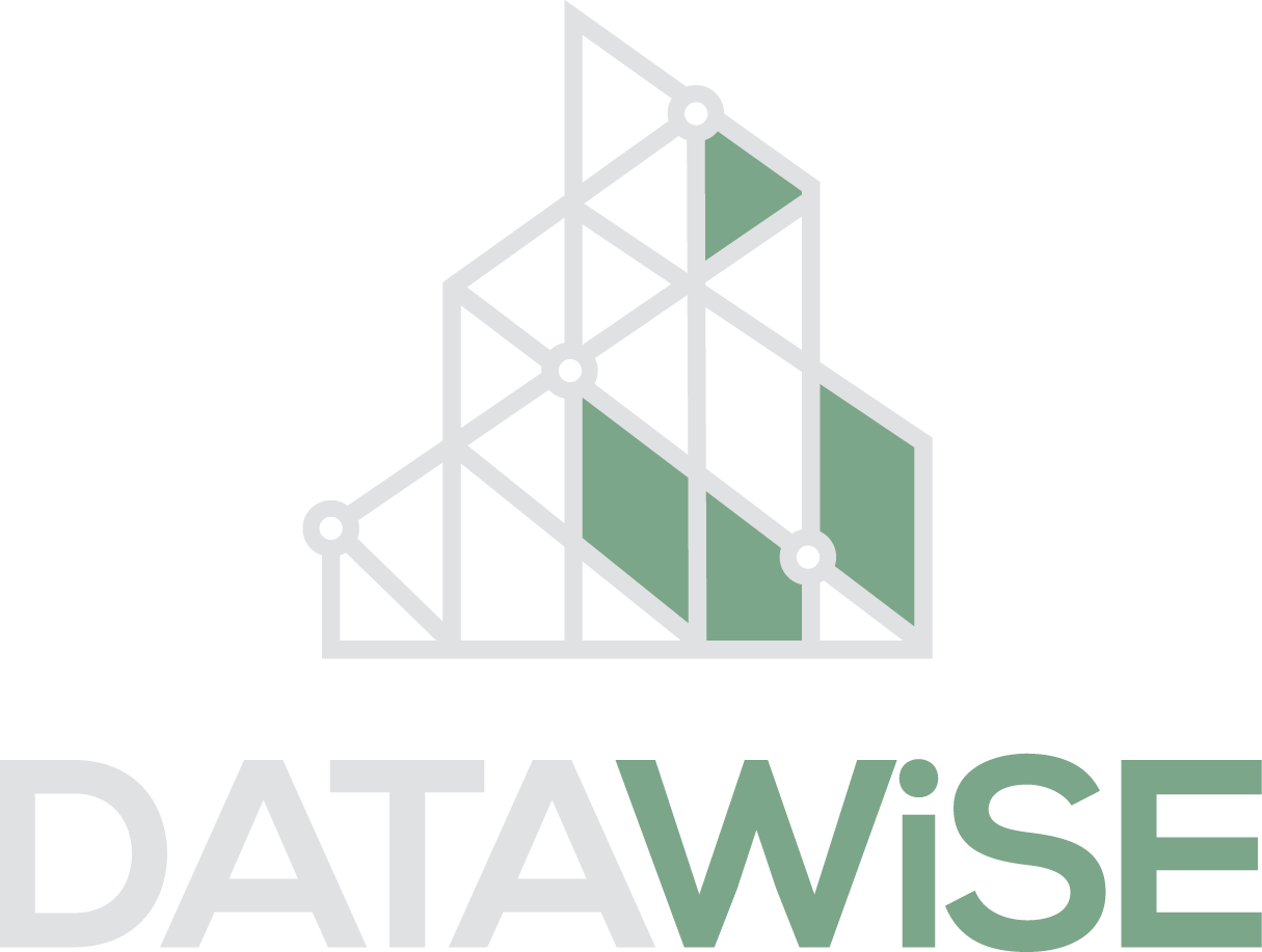 DATAWISE Logo