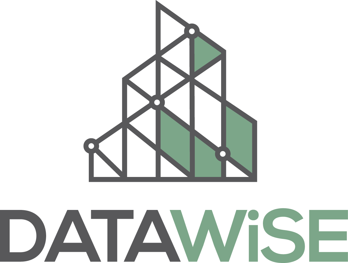 DATAWISE Logo